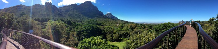 Kirstenbosch National Botanical Garden