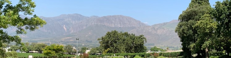 6E23E493-C47E-4432-A3E7-7EF2FD365936