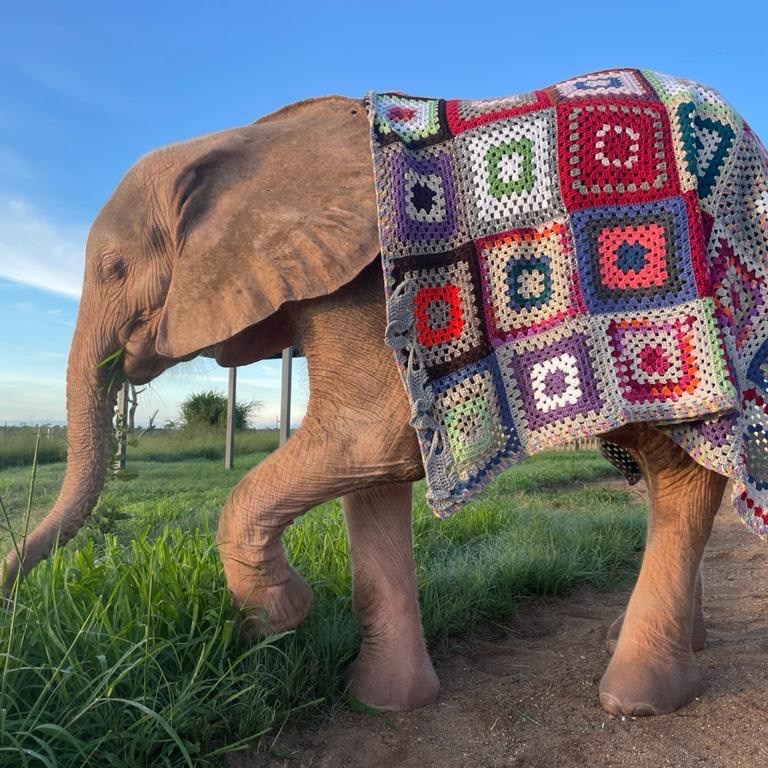 Khanyisa mit Wolldecke